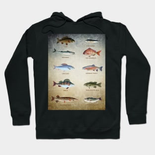 Fish Chart Hoodie